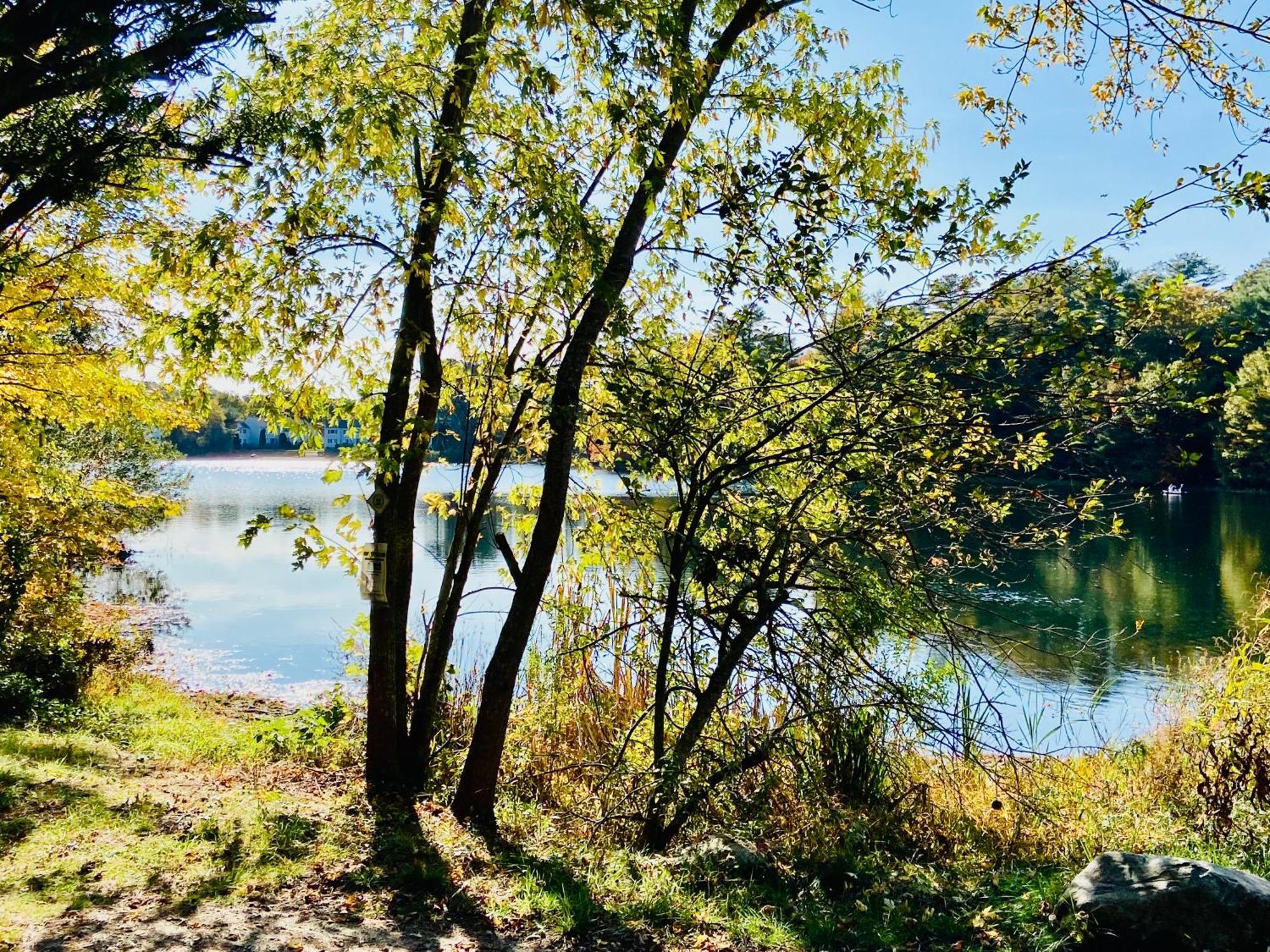 Clear Pond Suite Плімут Екстер'єр фото