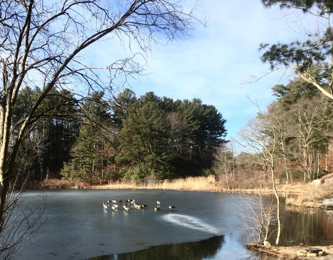 Clear Pond Suite Плімут Екстер'єр фото